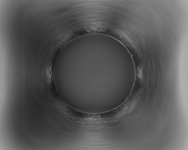 X0000094210915200711091234