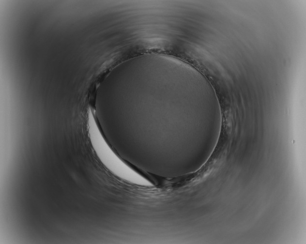 X0000094210916200711091234
