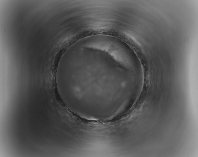 X0000094210917200711091235