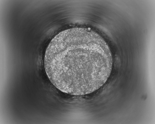 X0000094210918200711091235