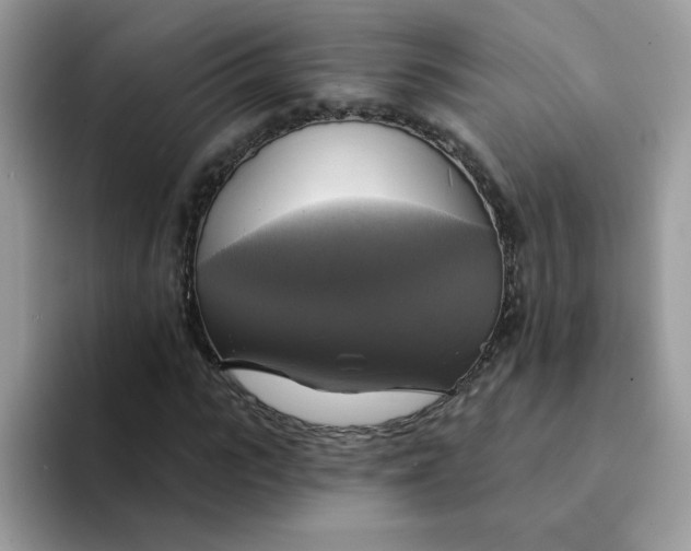 X0000094210919200711091235