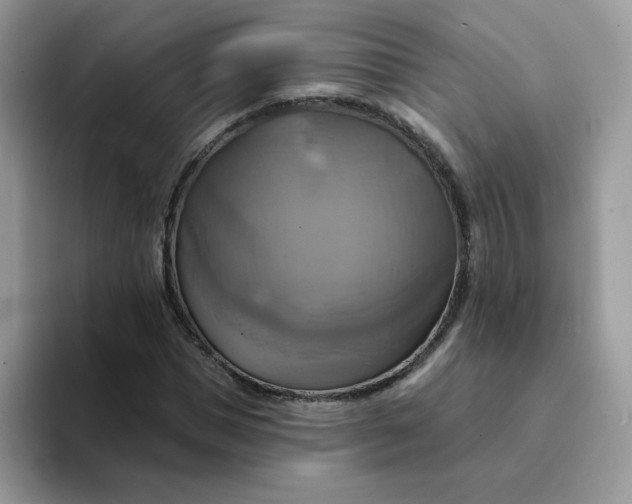 X0000094210921200711091235