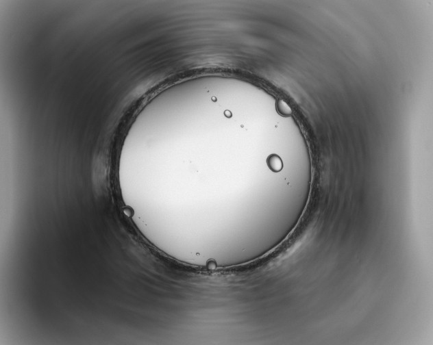X0000094210922200711091235