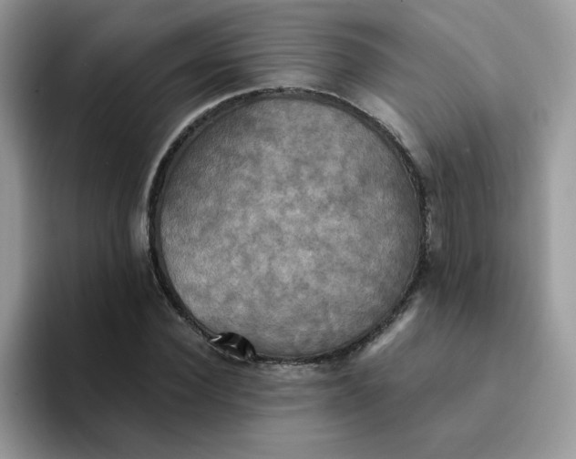 X0000094210924200711091235