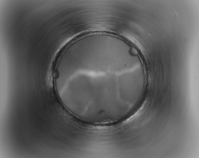X0000094210925200711091235