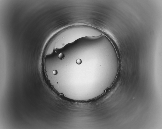 X0000094210928200711091235