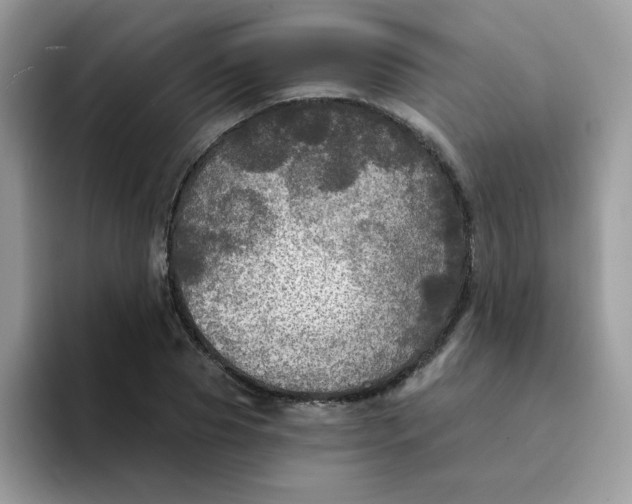 X0000094210929200711091235