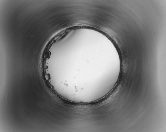 X0000094210931200711091235