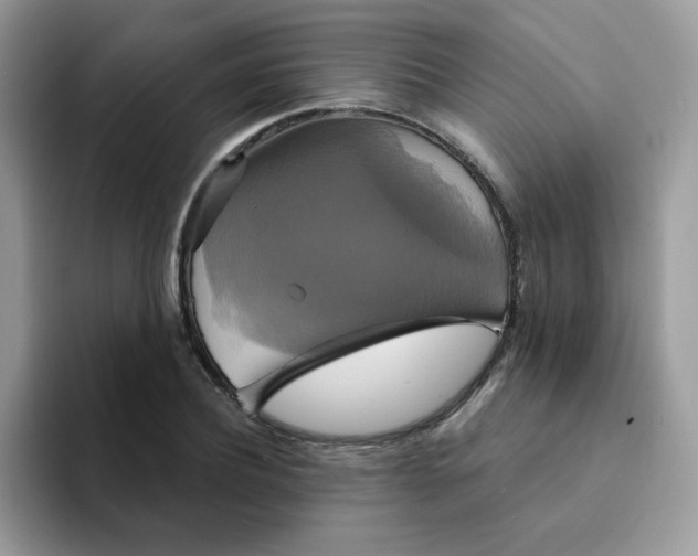 X0000094210932200711091235