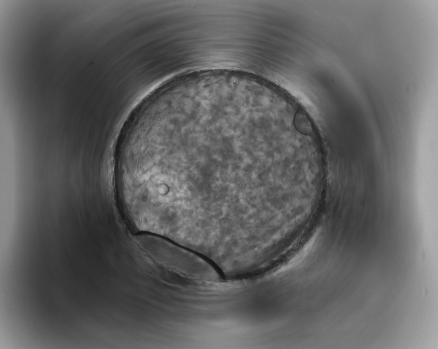 X0000094210933200711091235