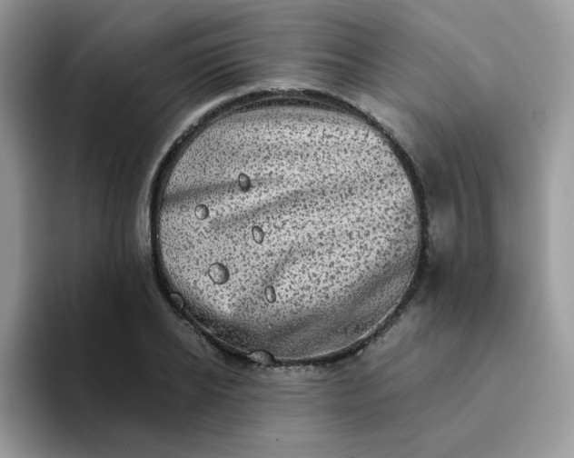X0000094210934200711091235