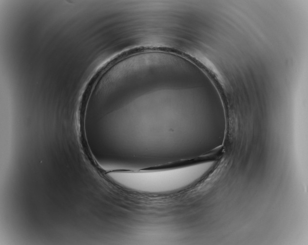 X0000094210935200711091235