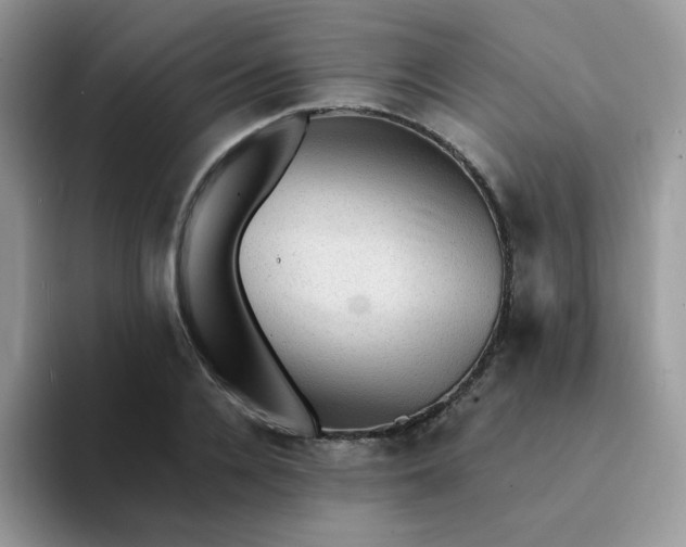 X0000094210936200711091235