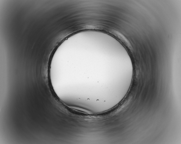 X0000094210938200711091235