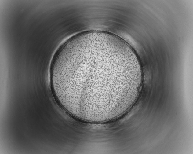 X0000094210940200711091235
