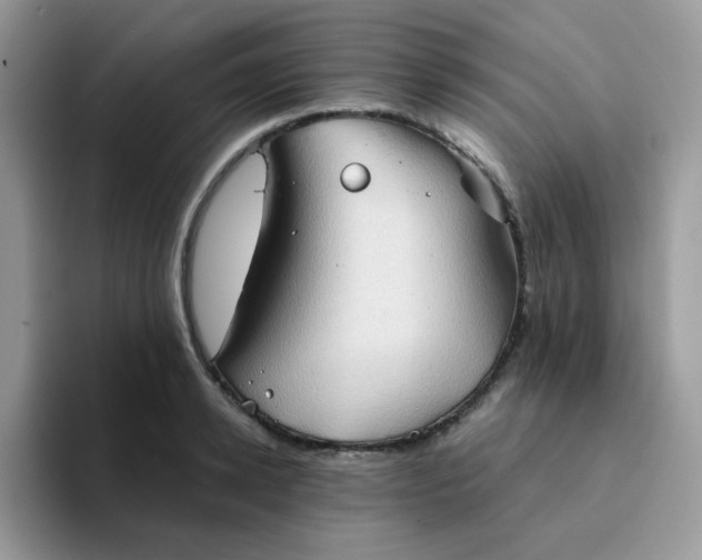 X0000094210942200711091235