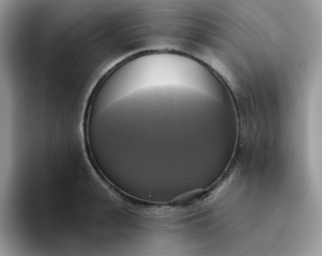 X0000094210943200711091235
