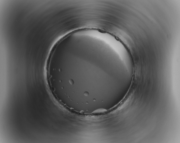 X0000094210944200711091235