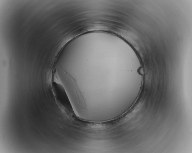 X0000094210945200711091235