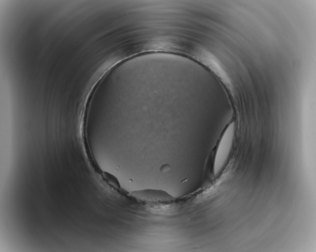 X0000094210946200711091235
