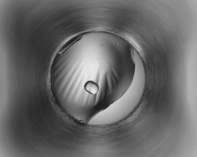 X0000094210948200711091235