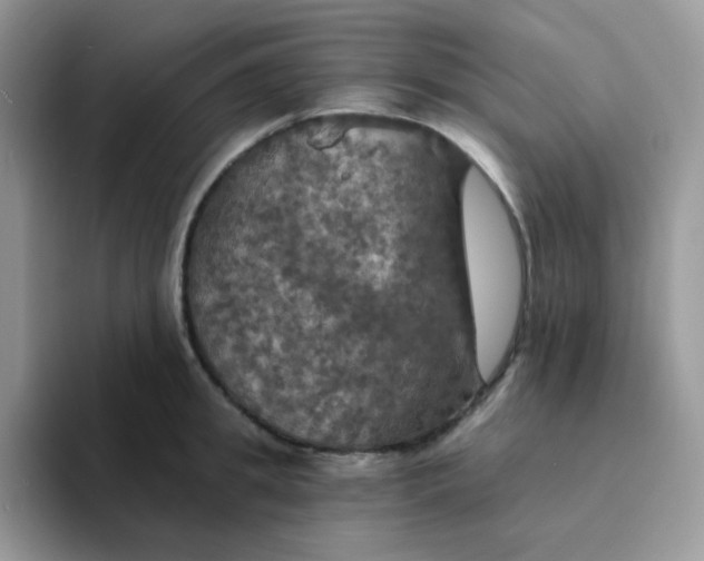 X0000094210949200711091235