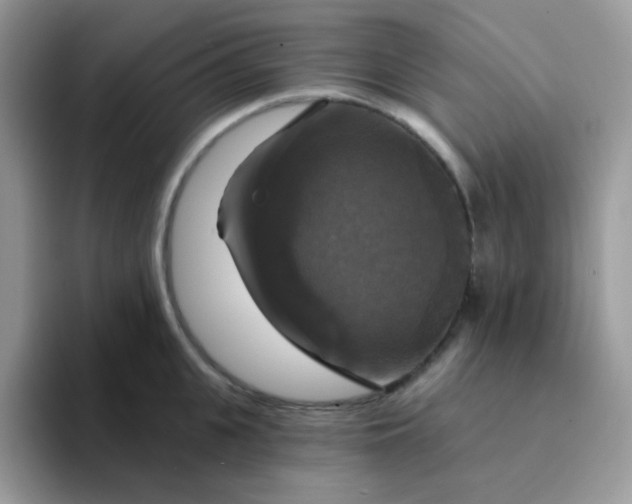 X0000094210951200711091235