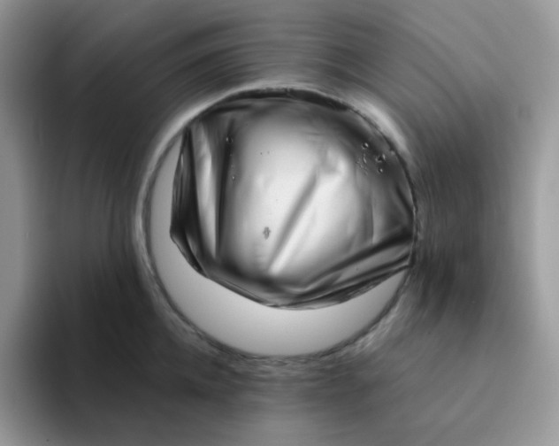 X0000094210952200711091235