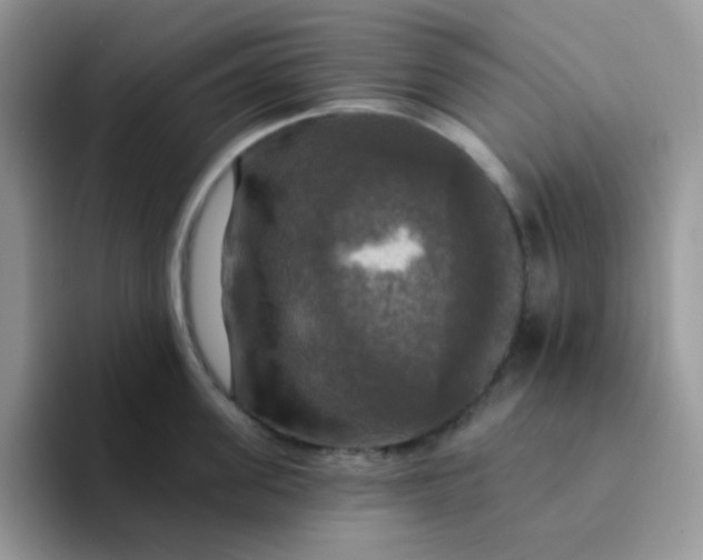X0000094210955200711091235