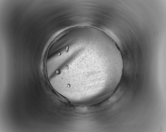 X0000094210956200711091235