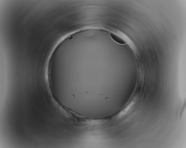 X0000094210958200711091235