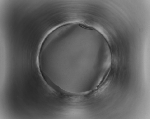 X0000094210959200711091235