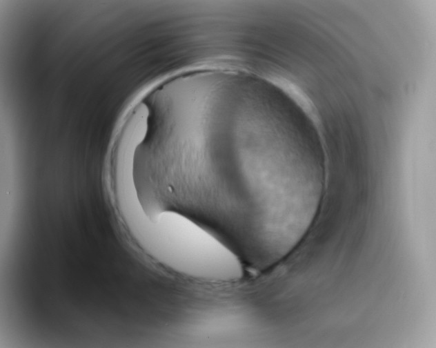 X0000094210960200711091235