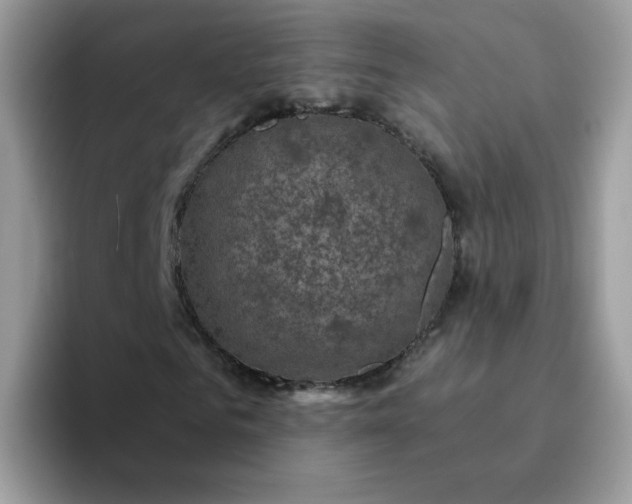 X0000094210961200711091234