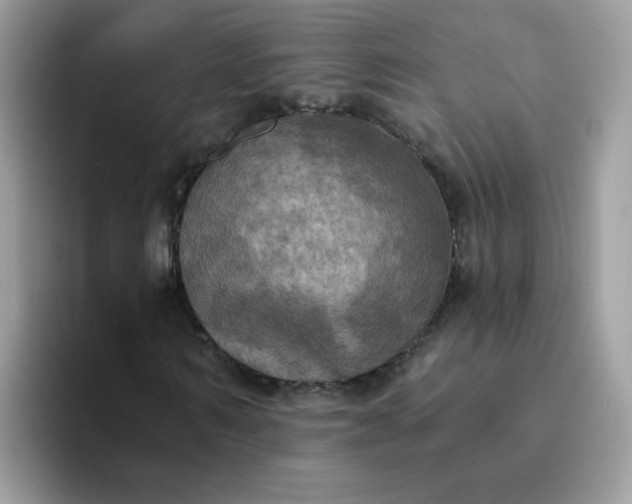 X0000094210962200711091234