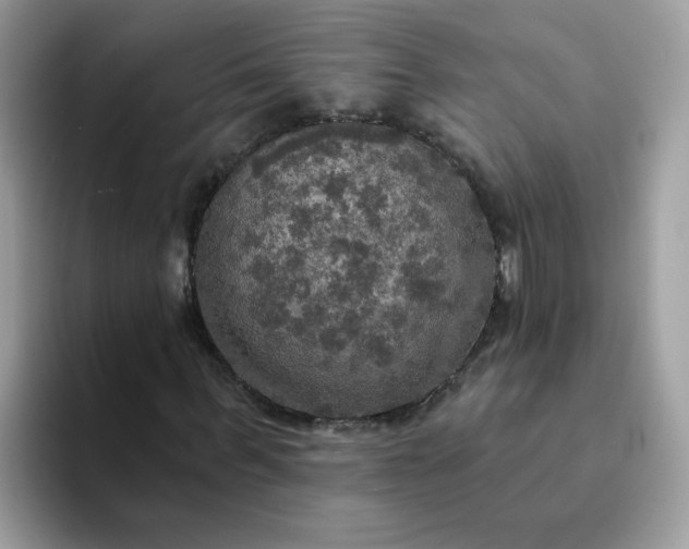 X0000094210963200711091234