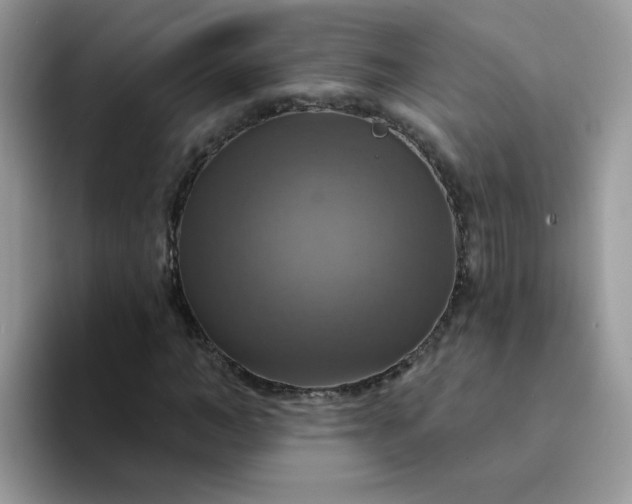 X0000094210966200711091234