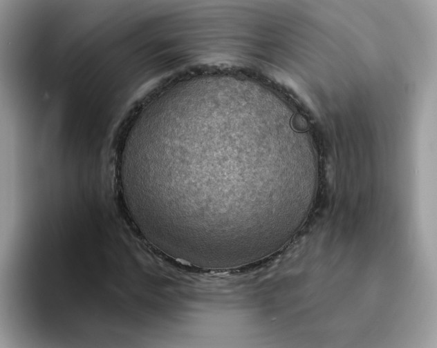 X0000094210968200711091234