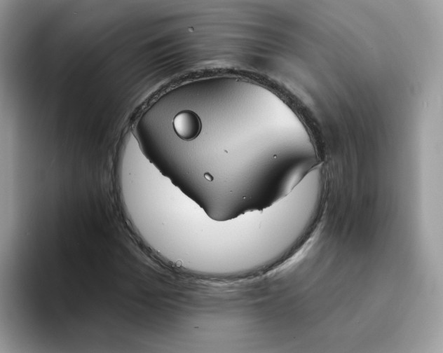 X0000094210969200711091234