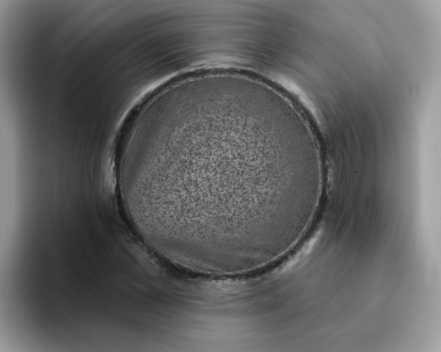 X0000094210973200711091234