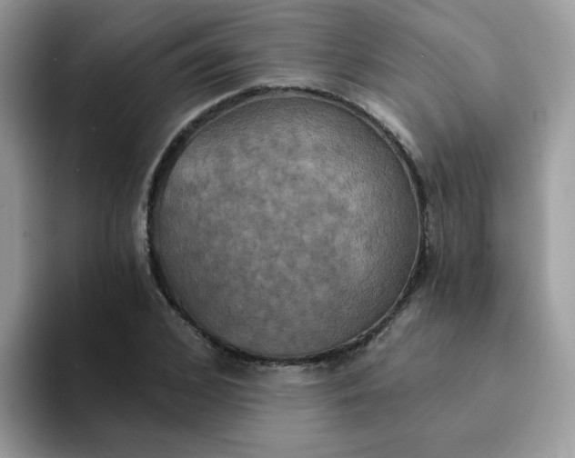 X0000094210976200711091234