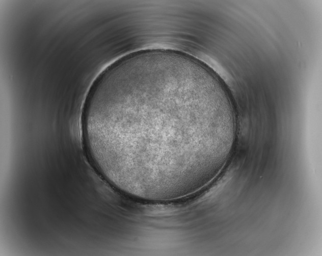X0000094210980200711091234