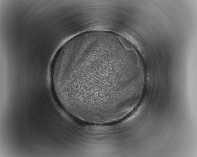 X0000094210981200711091234
