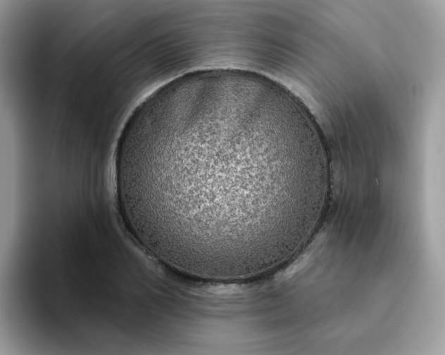 X0000094210982200711091234