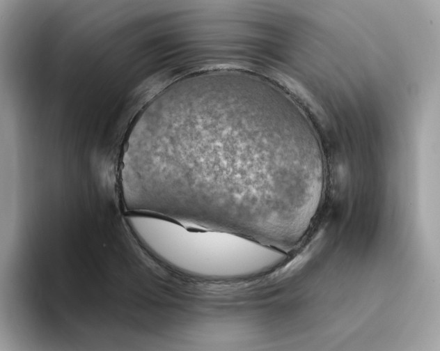 X0000094210985200711091234