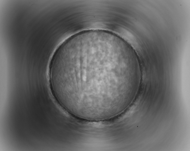 X0000094210990200711091234