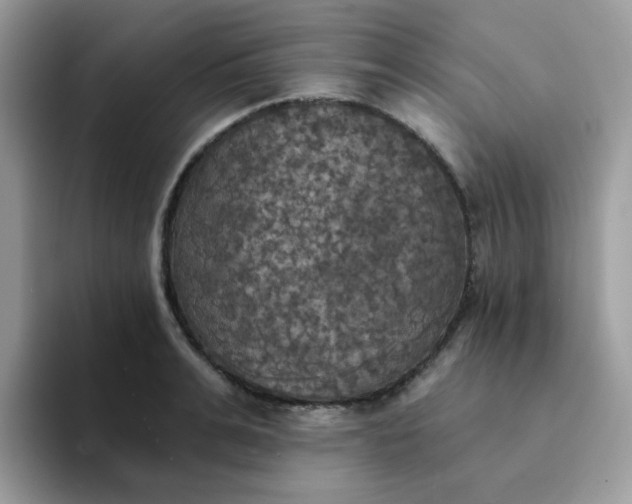 X0000094210991200711091234