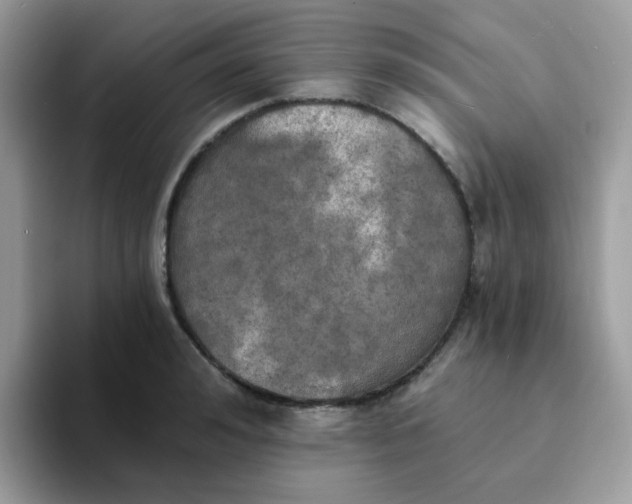 X0000094210992200711091234