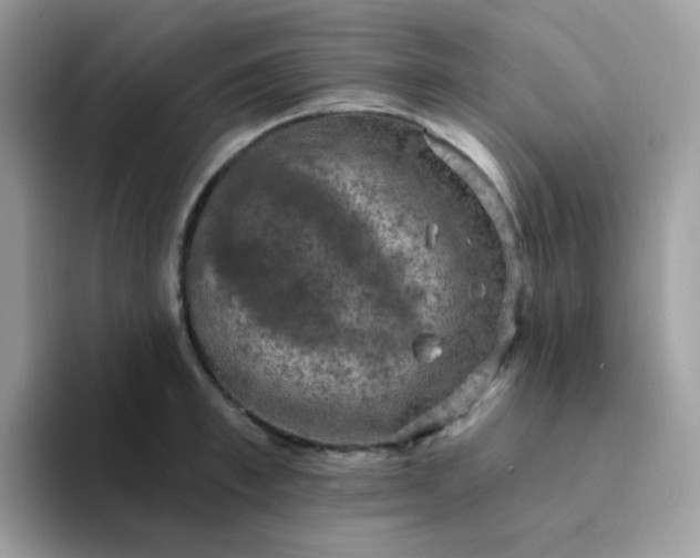 X0000094210997200711091234