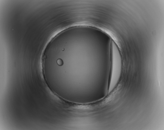 X0000094210998200711091234